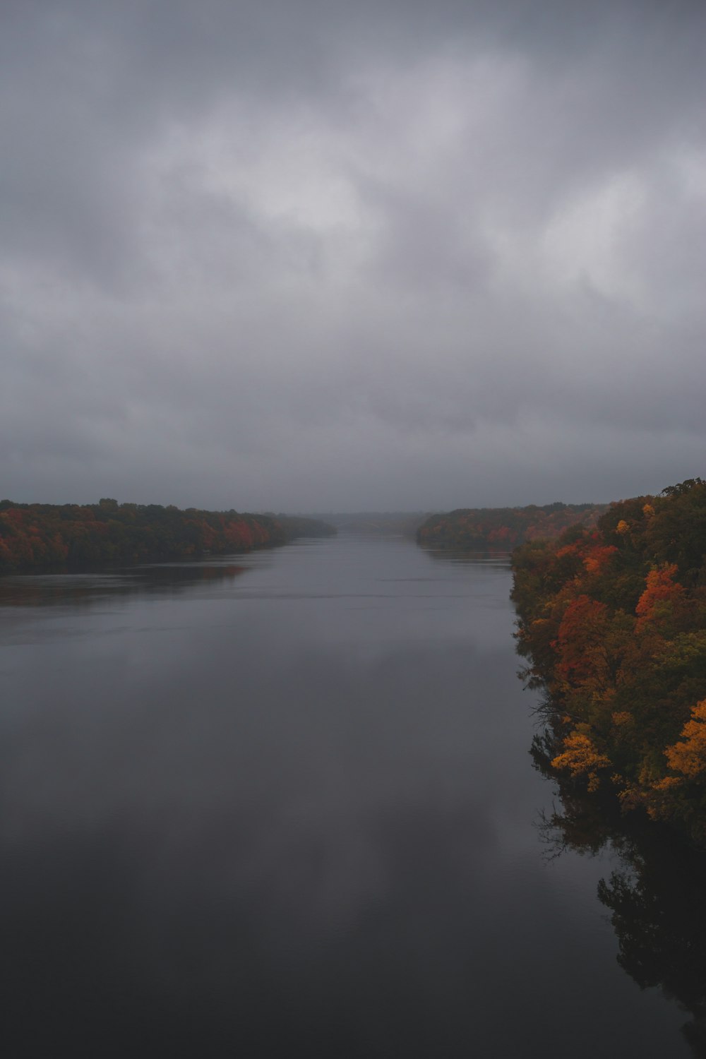 a body of water surrounded by lots of trees