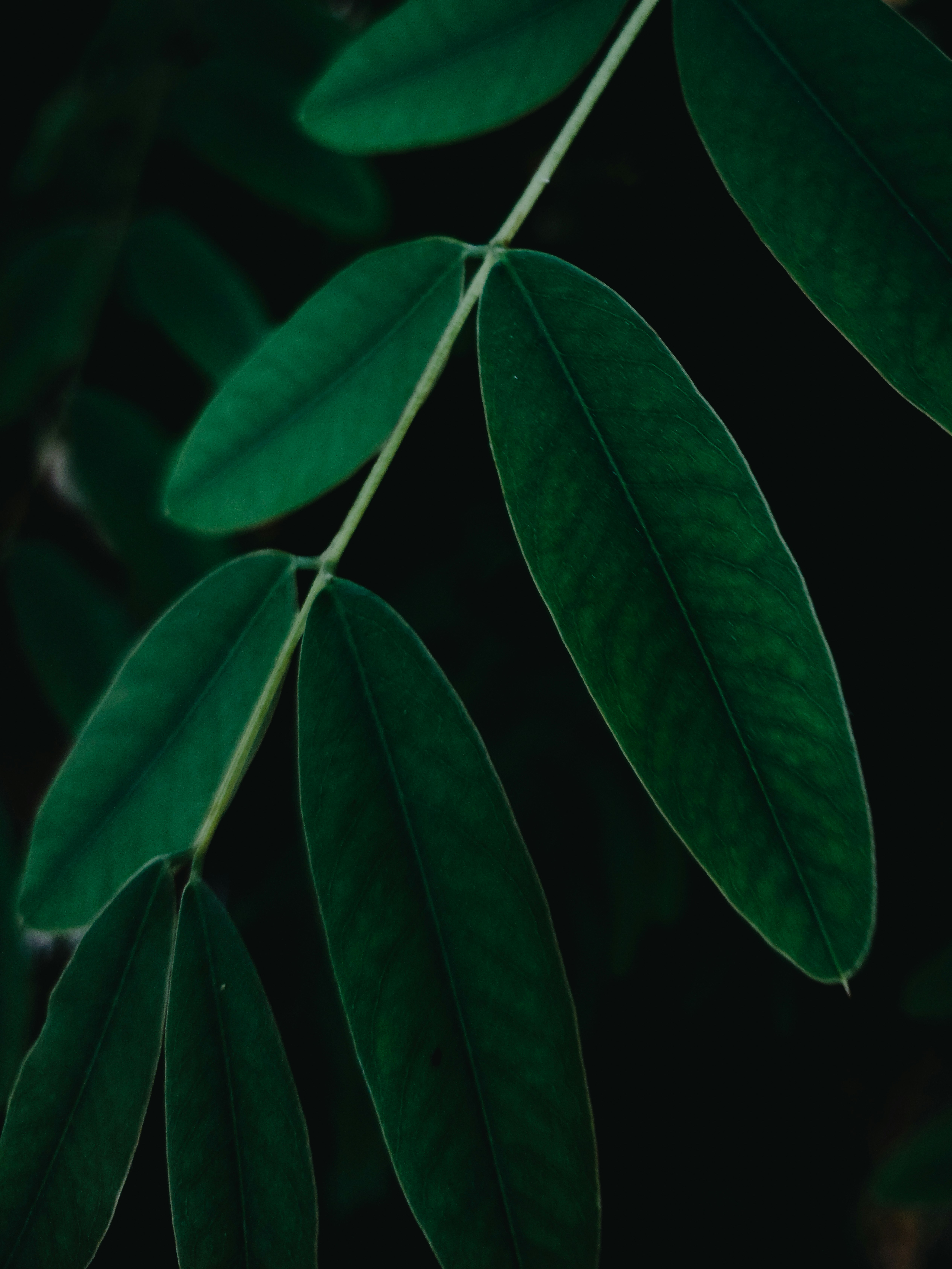 Photo by prithiviraj