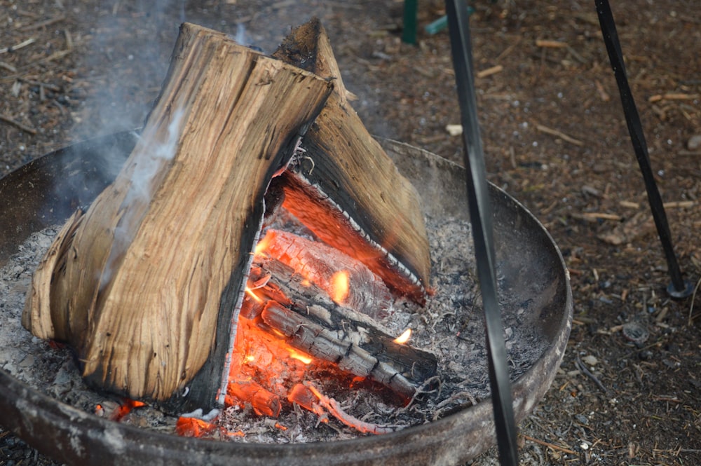 brown wood log on fire