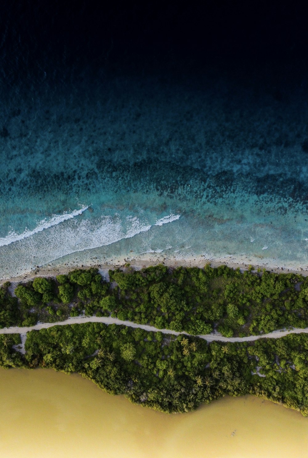 Vue aérienne d’une terre verte et brune près d’un plan d’eau pendant la journée