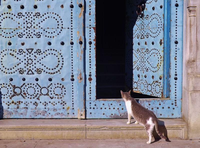 Medina of Tunis