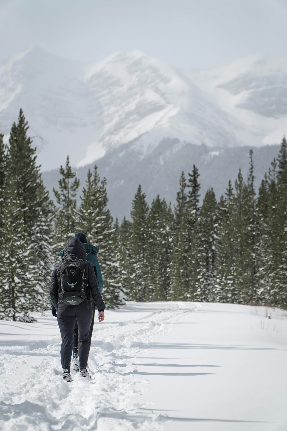 man in black jacket and black pants standing on snow covered ground near green trees and