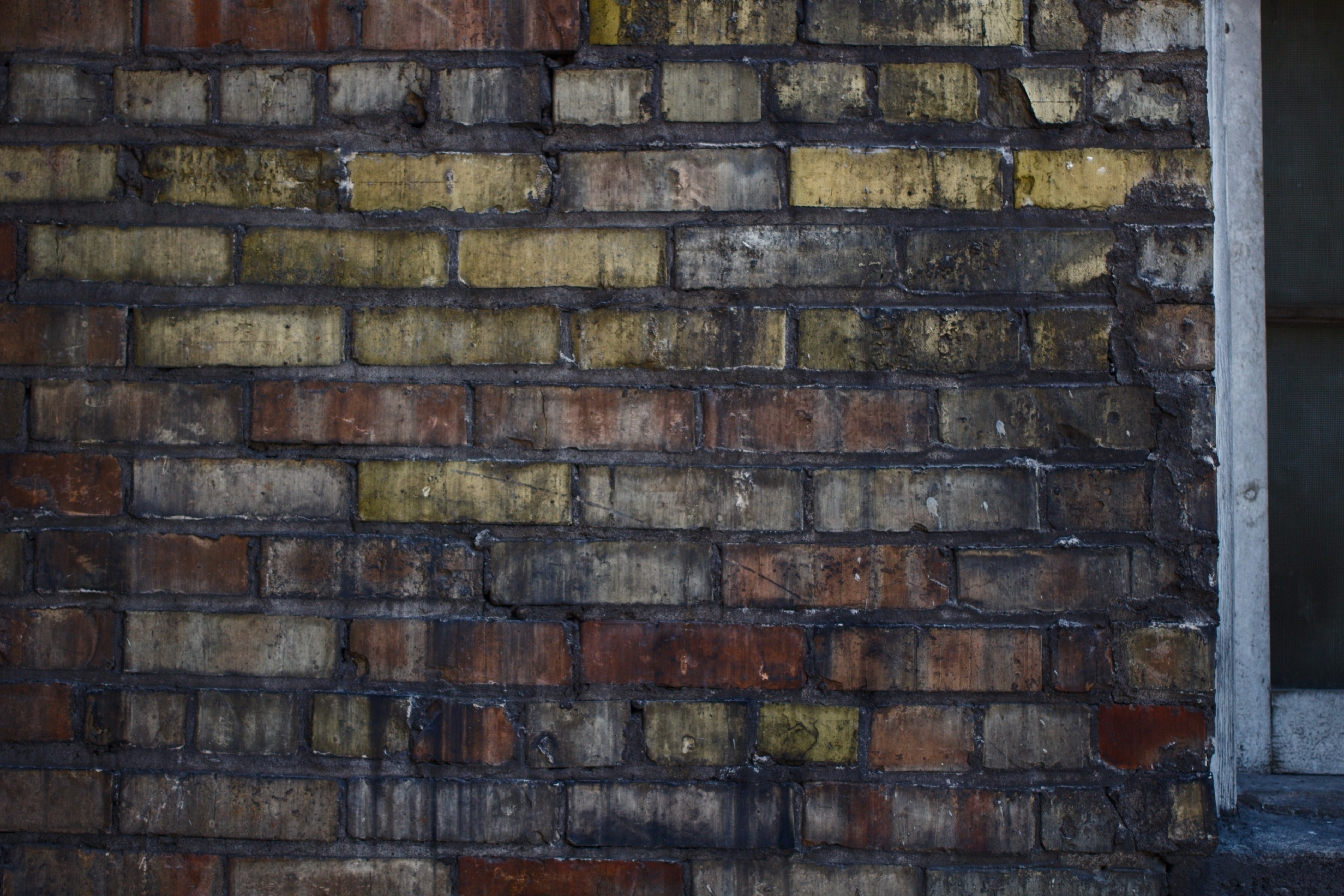 Photo by joshua_hoehne