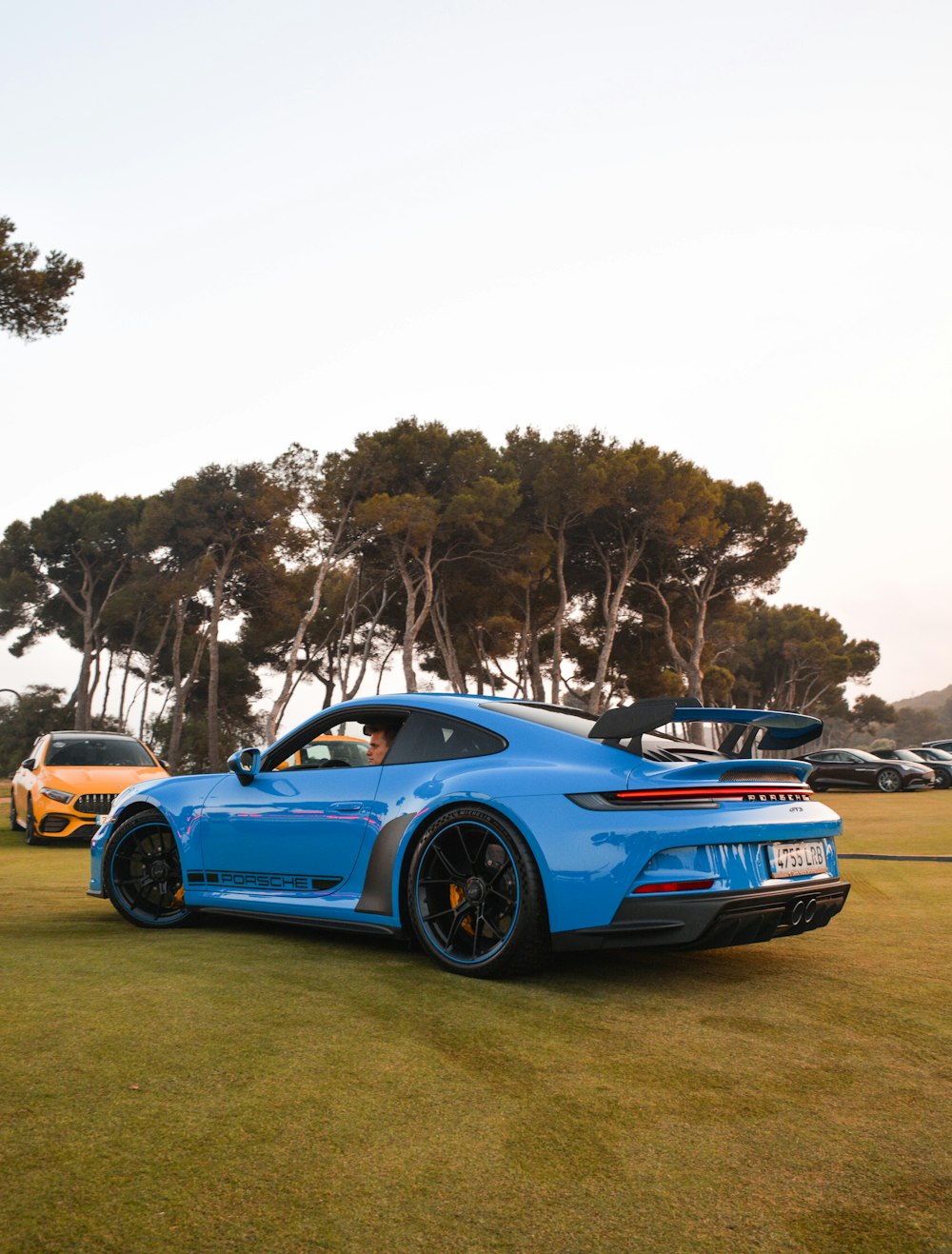 blue porsche 911 on green grass field near trees during daytime