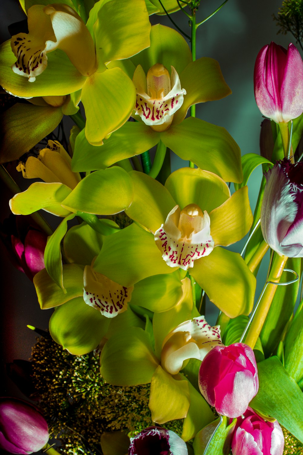 yellow and pink flower with green leaves