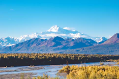 snow covered mountain during daytime