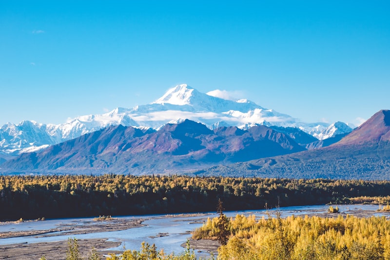 Denali's white massif rising above dark foothills, autumn-gold forest, and a braided gravel river under a blue sky