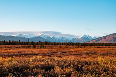 brown grass field near mountain under blue sky during daytime