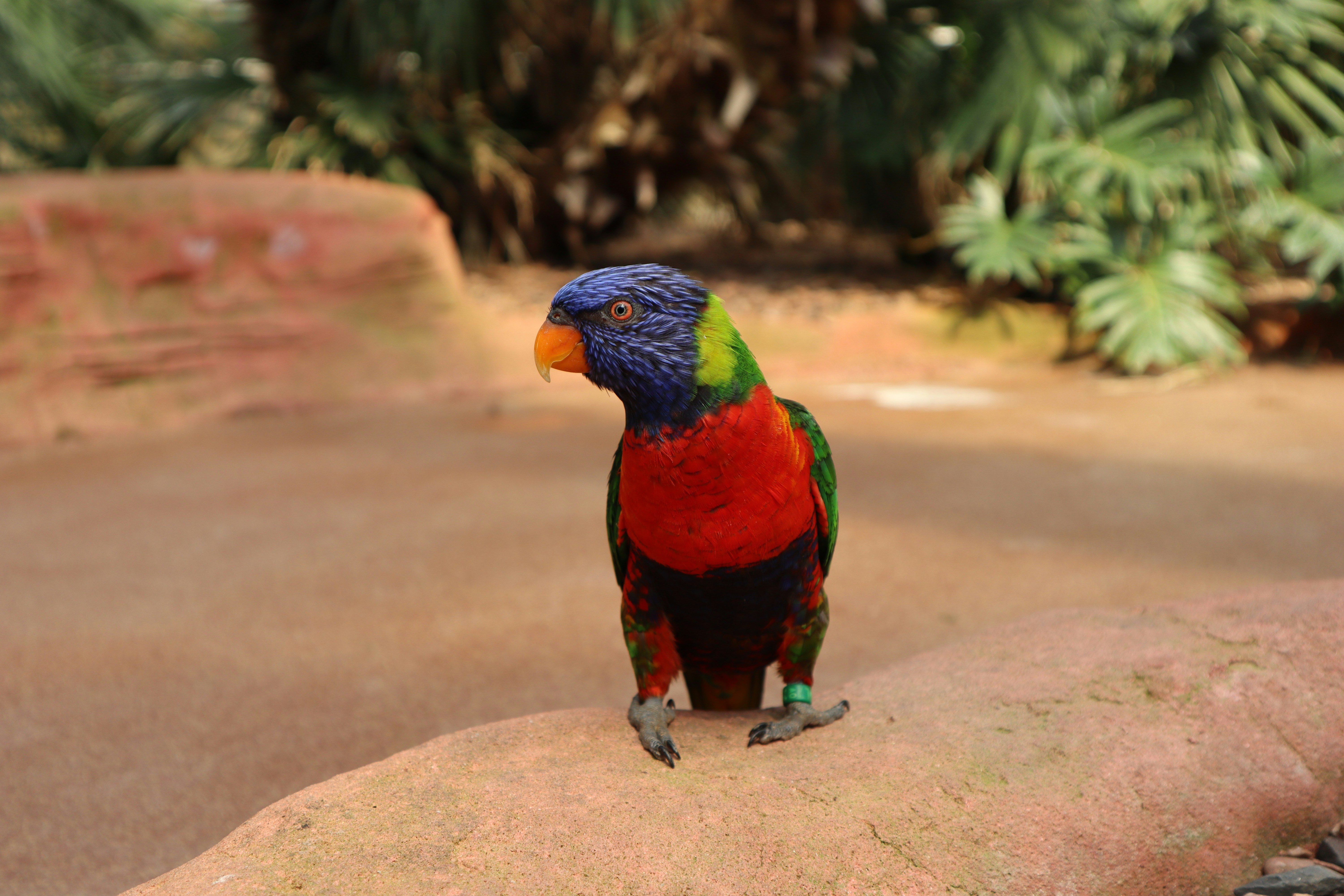 Afbeelding van Alphen aan den Rijn