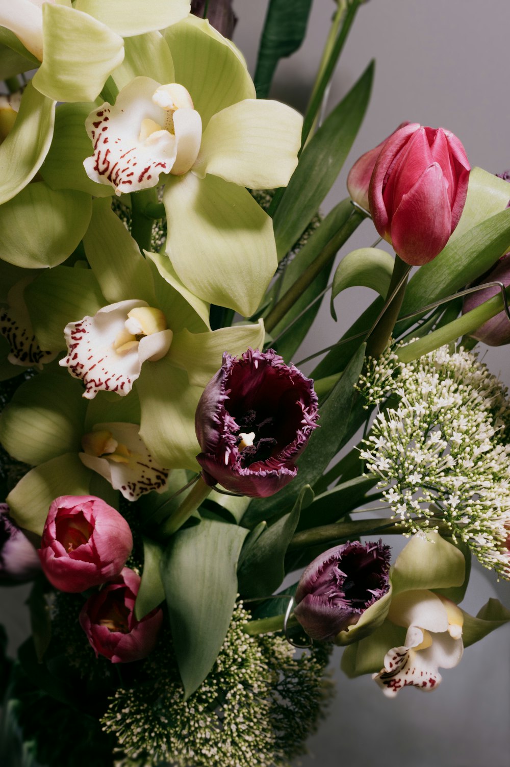 bouquet de tulipes blanches et rouges photo – Photo Cdmx Gratuite sur  Unsplash