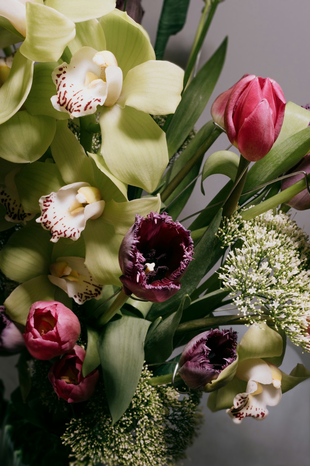 white and red tulips bouquet