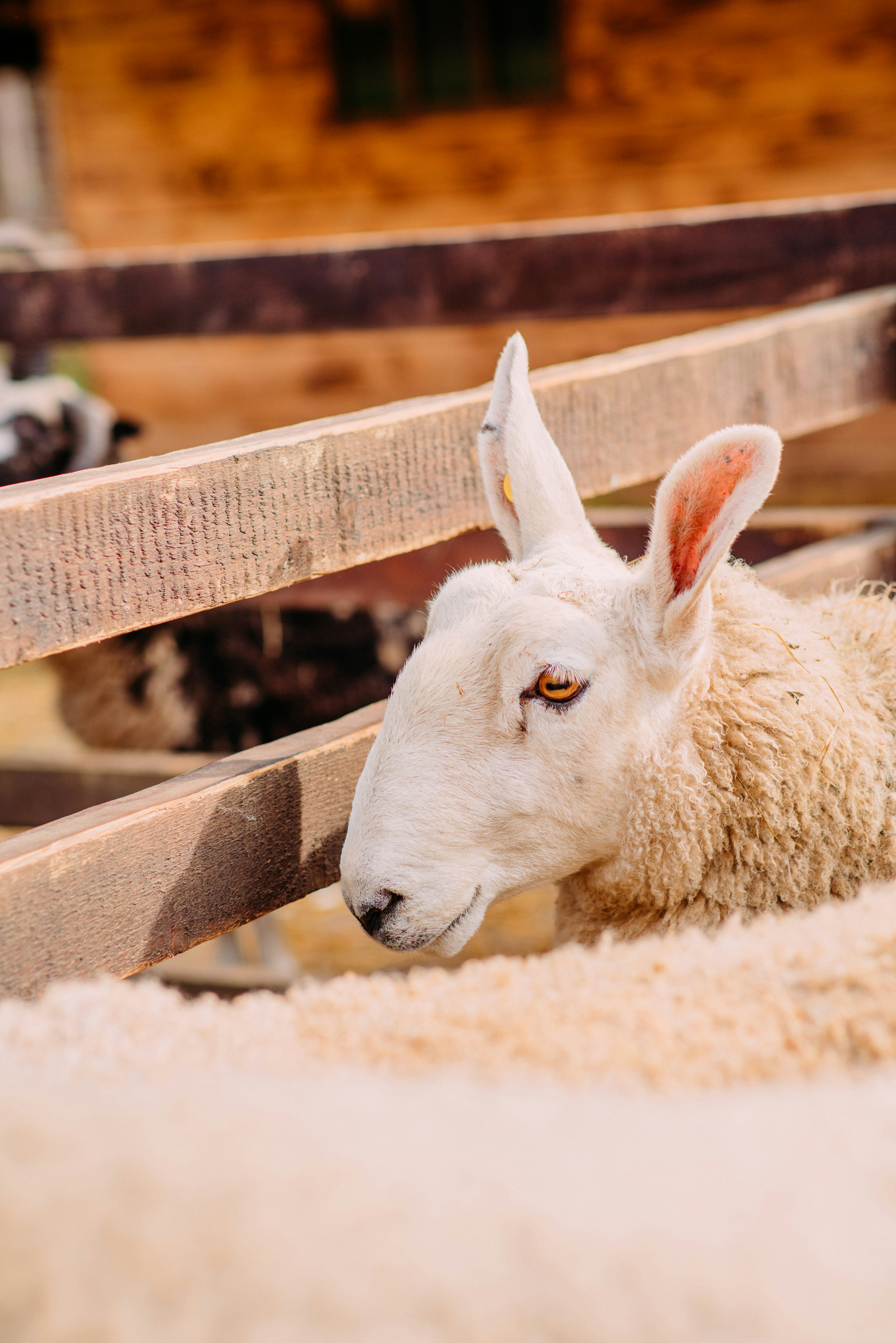 Photo by eugenivy_now