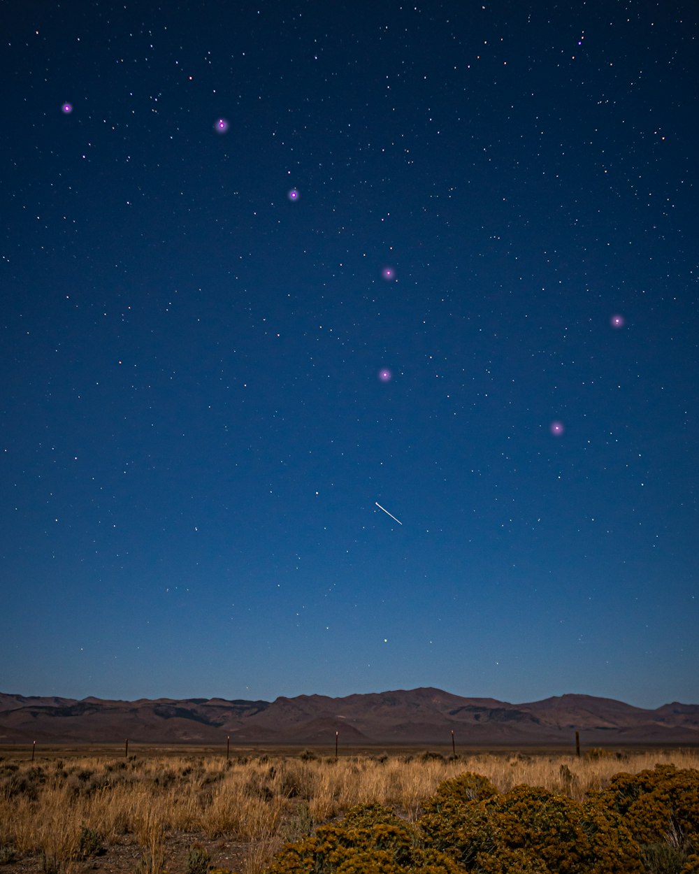 brown field under blue sky with stars during night time