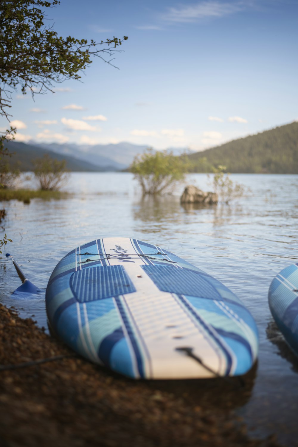 blue and white inflatable ring on brown rock near lake during daytime