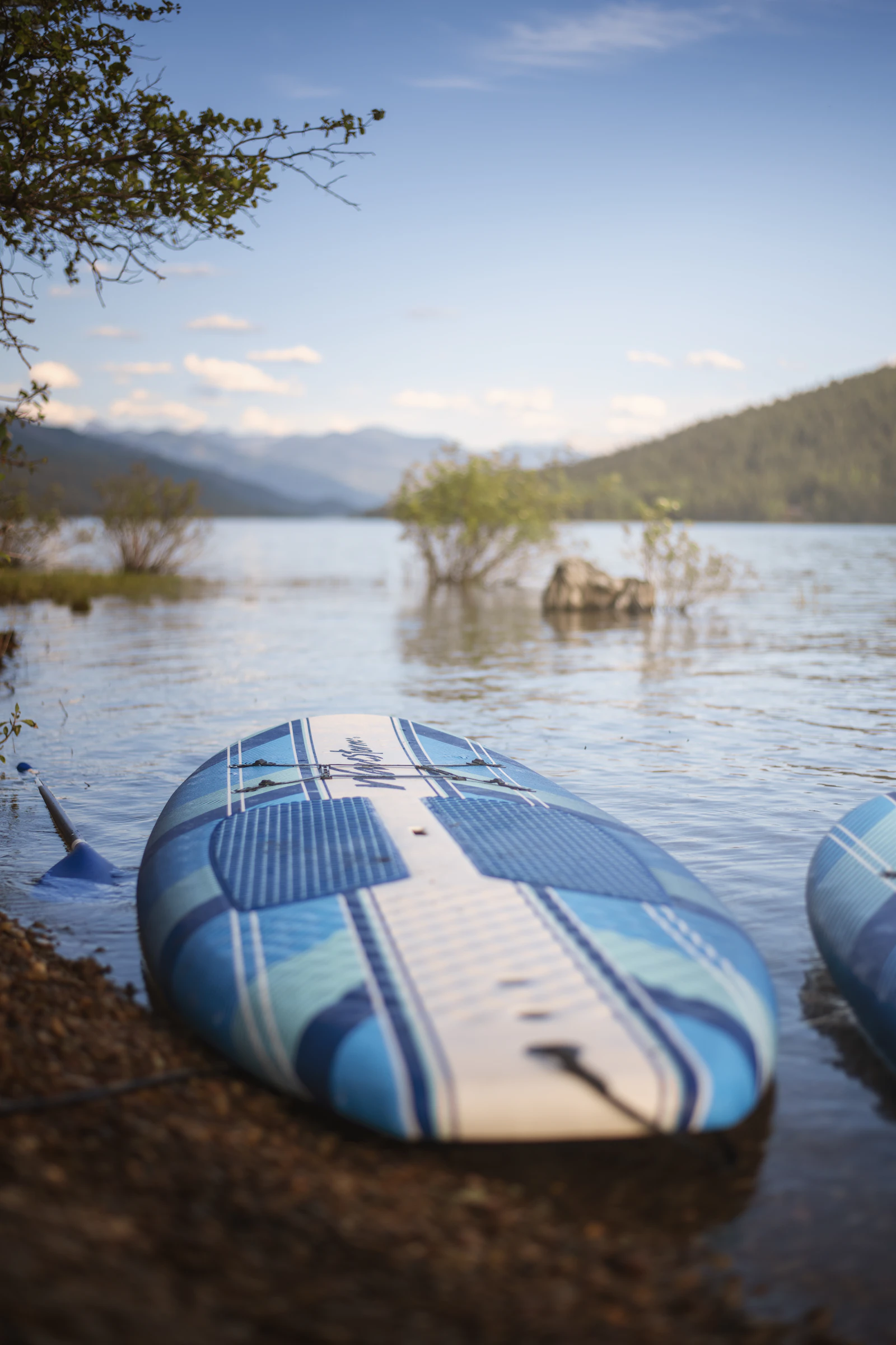 Stand up paddle board with gear at the edge of a lake