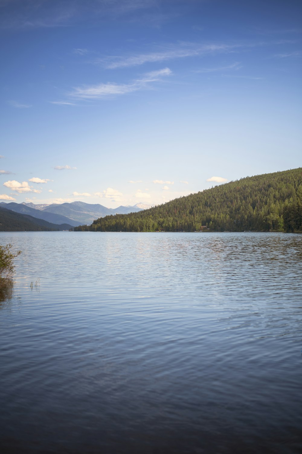 green trees near lake under blue sky during daytime