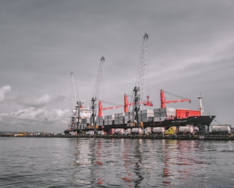 red and white cargo ship on sea under gray sky