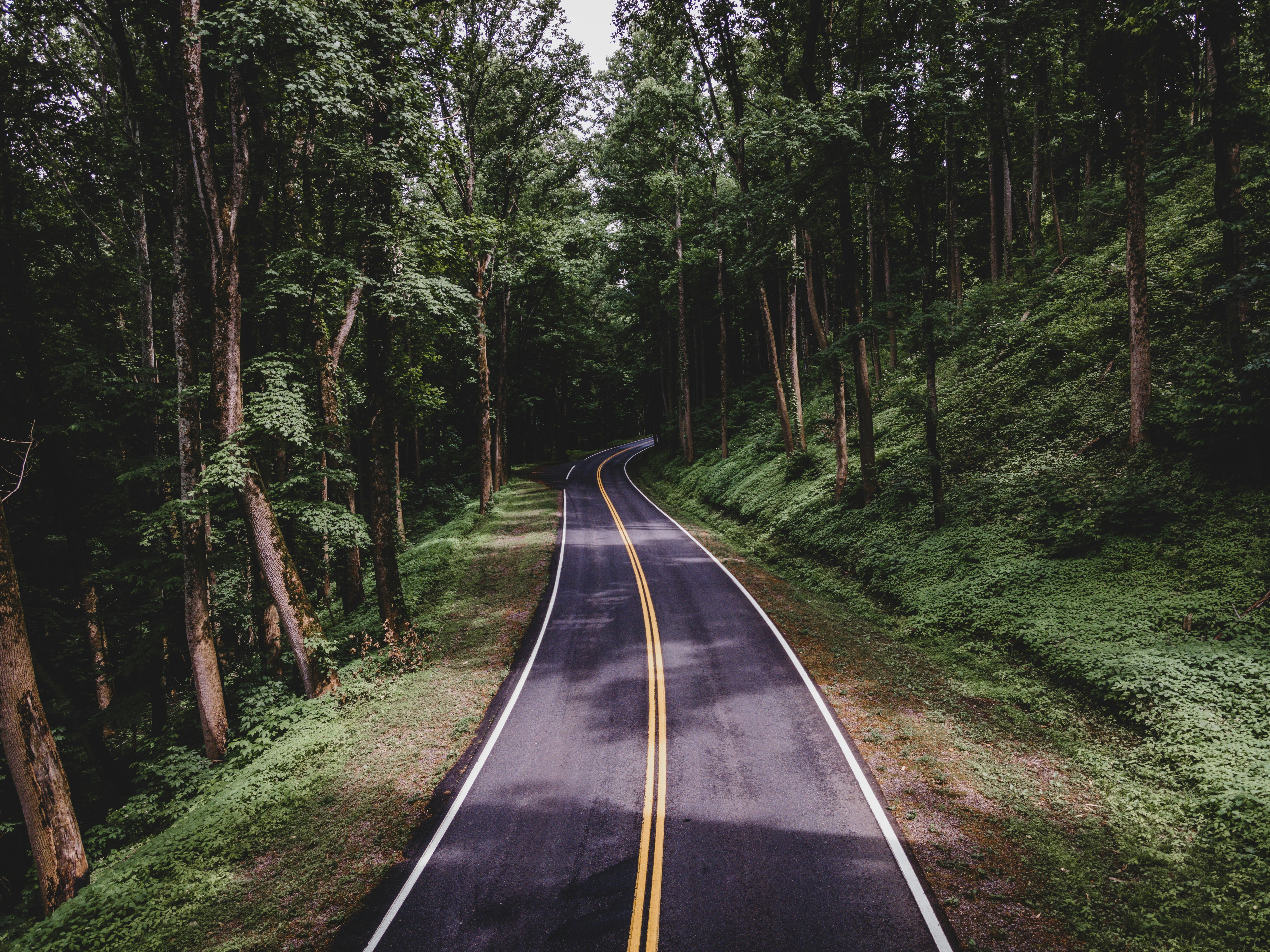 Photo by sandbarproductions