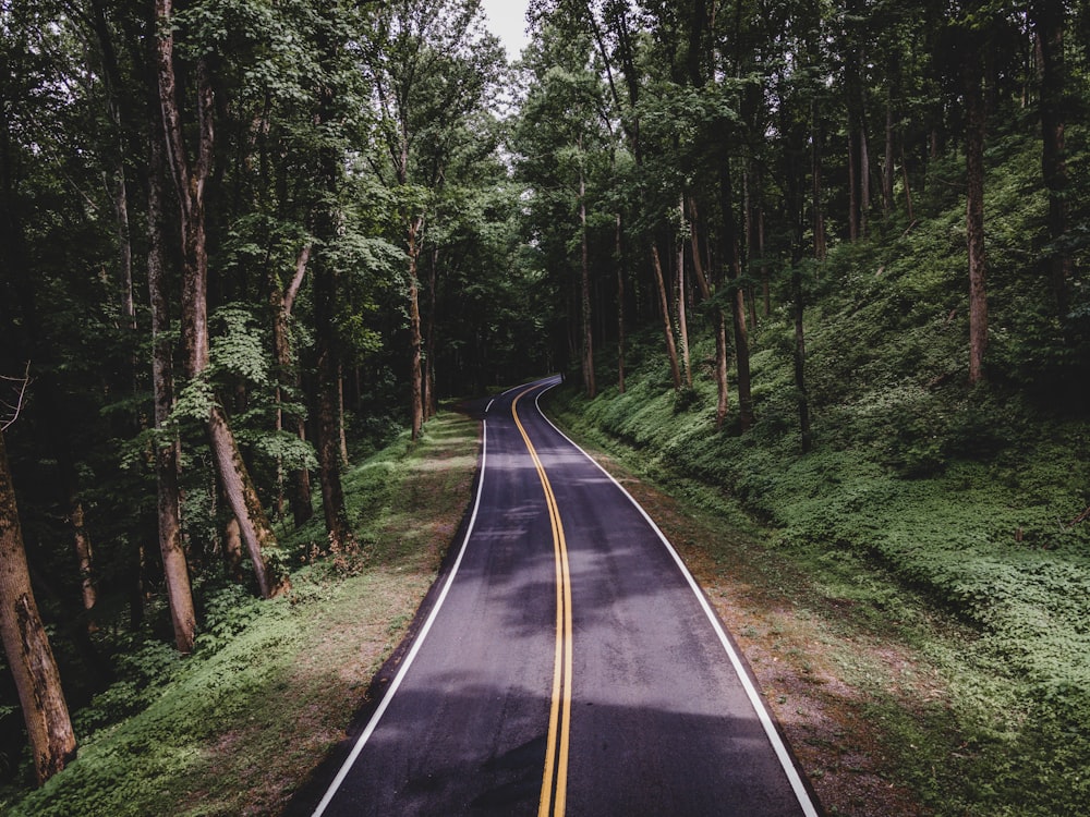 black asphalt road between green trees during daytime