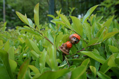 Detail of handcrafted wooden dog toy placed next to a potted plant.