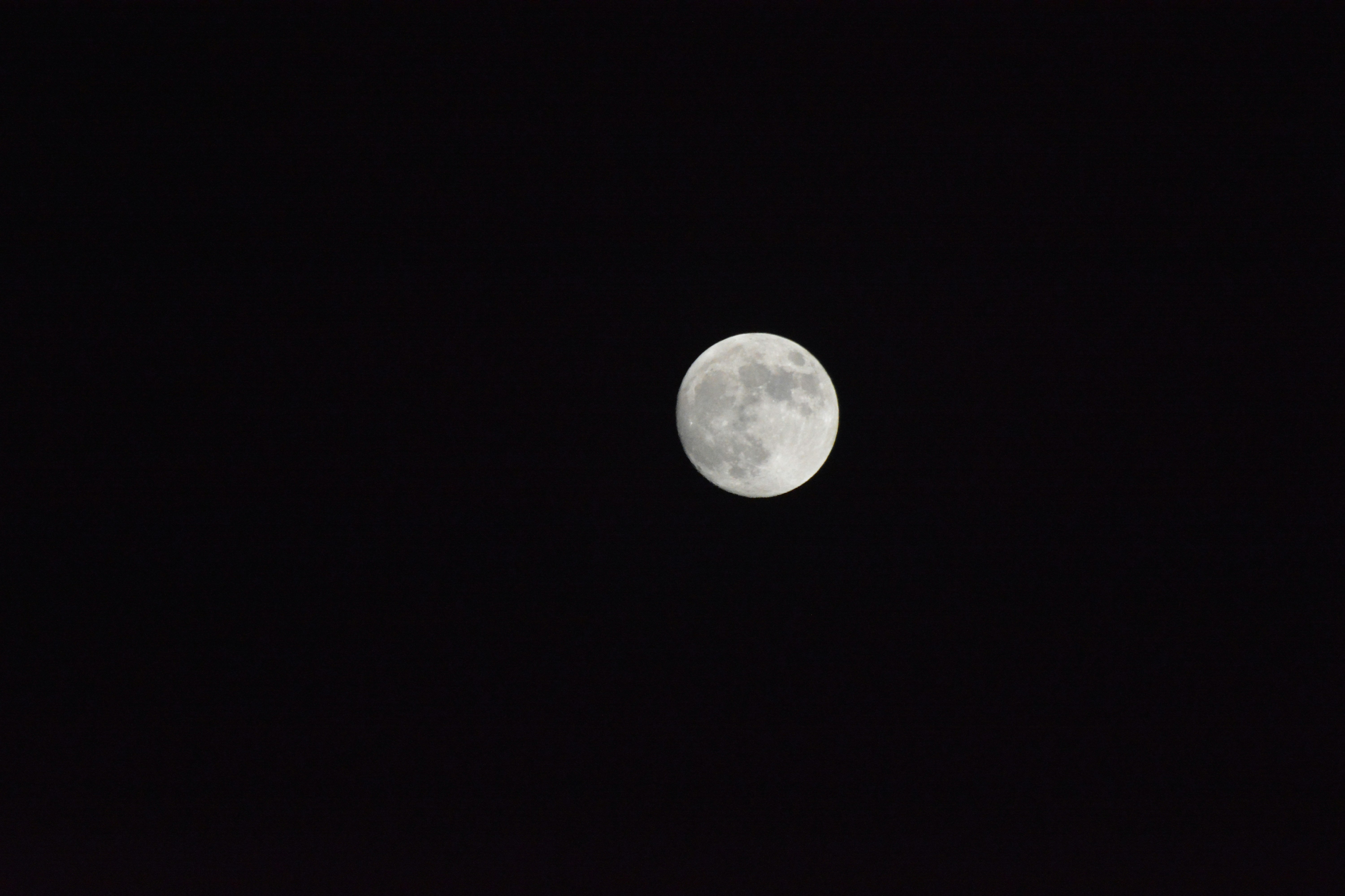 close up of a bright moon against a night sky