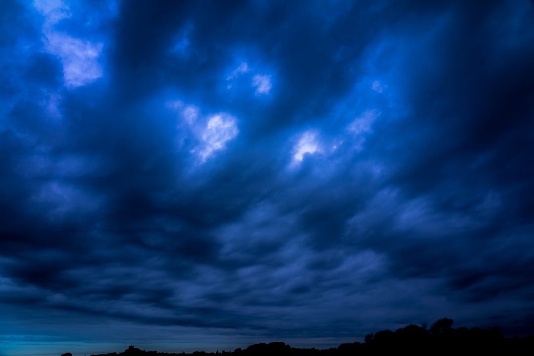 silhouette of trees under blue sky