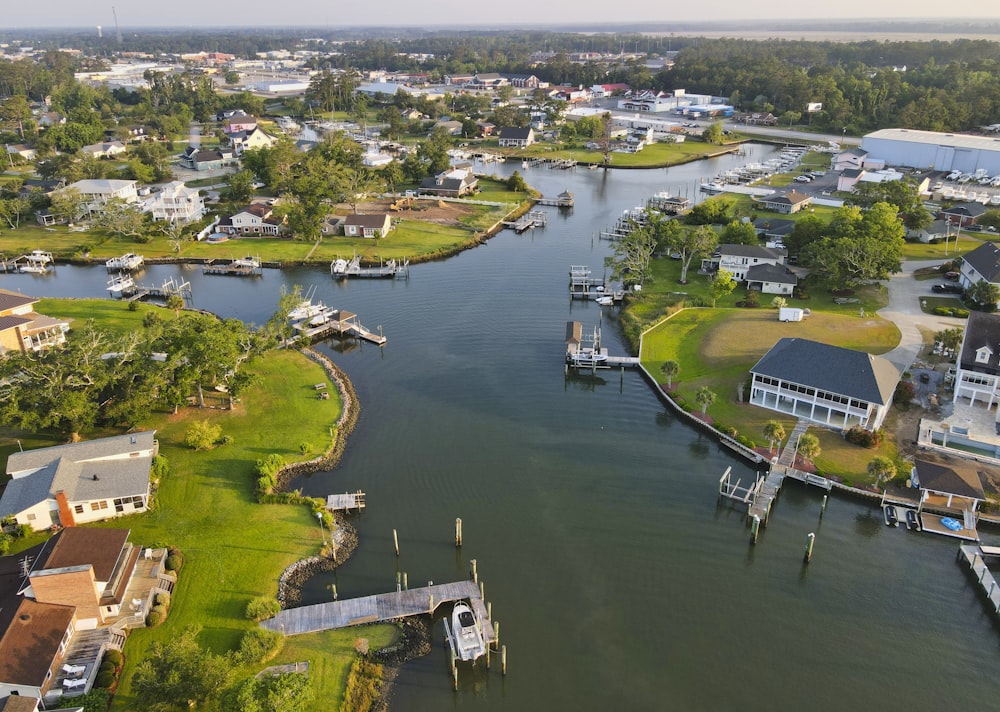 aerial view of green trees and river during daytime