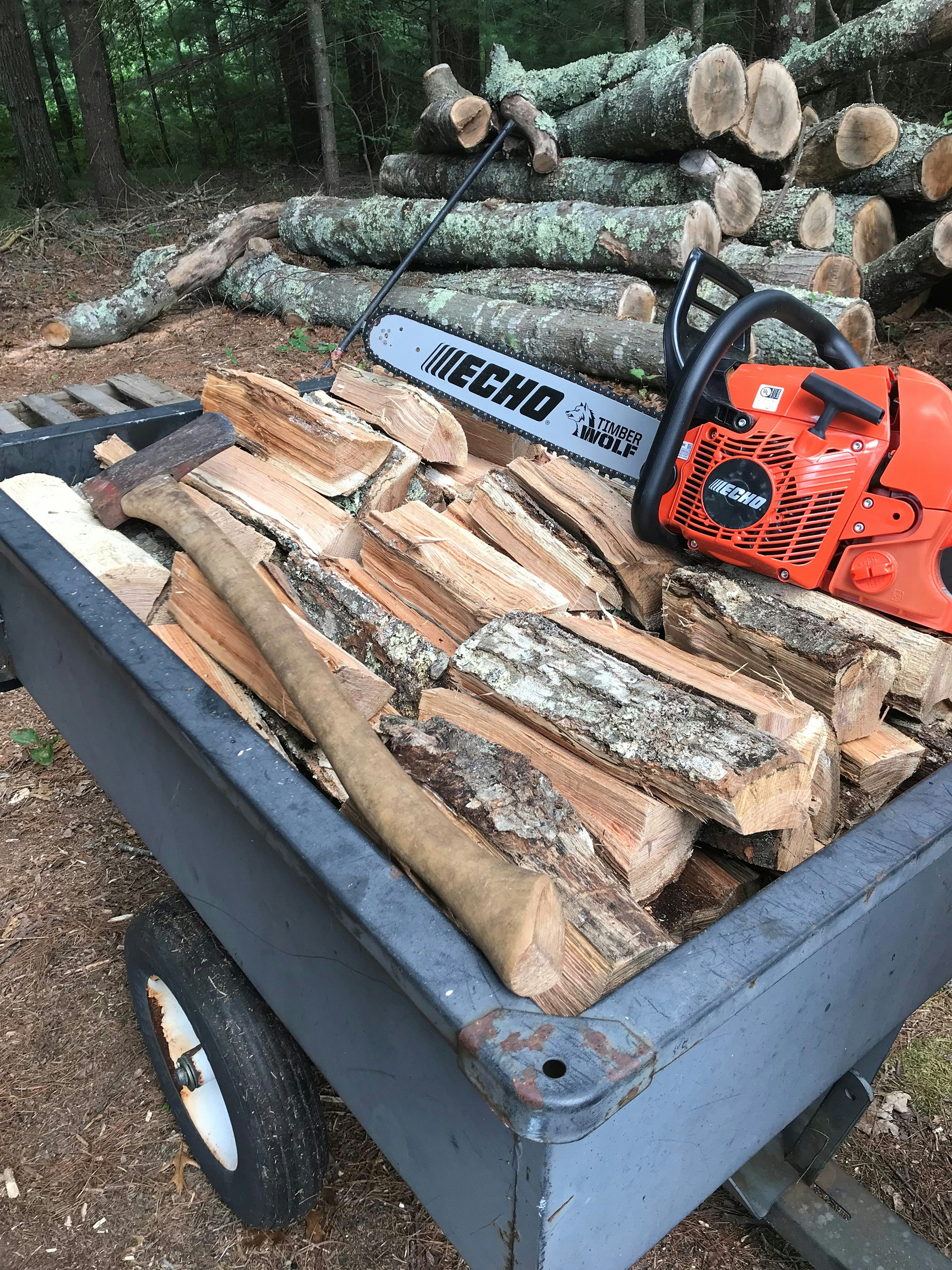 ForgeForce Pro Chainsaw