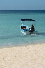 man in black shirt sitting on white and blue boat on sea during daytime