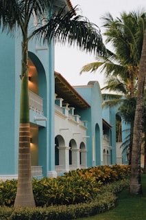 white concrete building near palm trees during daytime