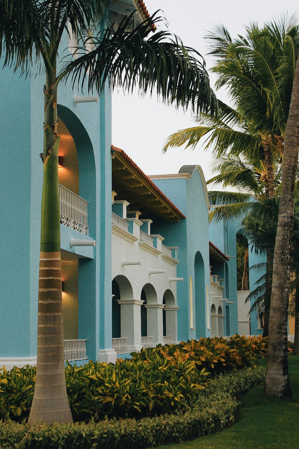 white concrete building near palm trees during daytime