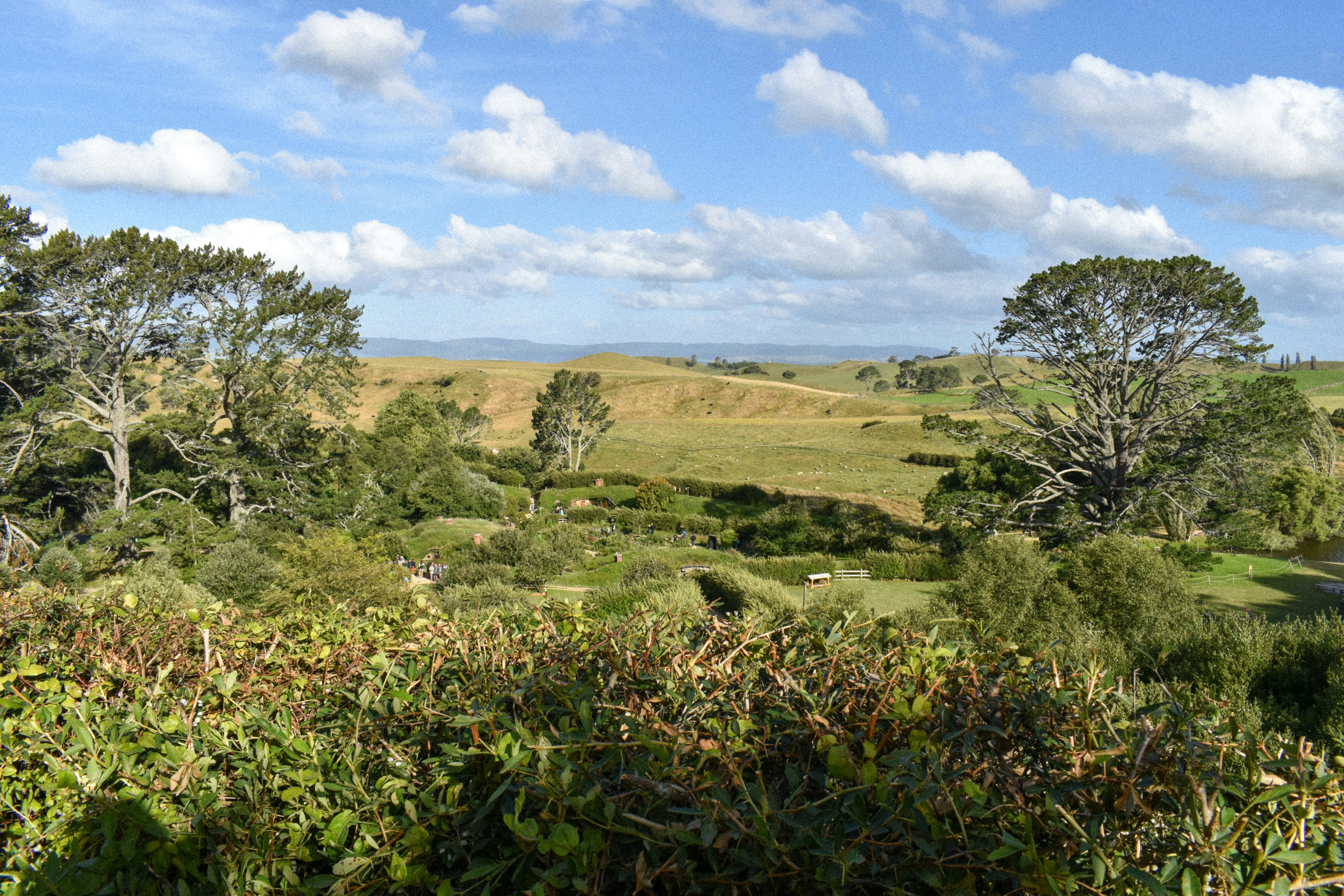 Photo by cyranomusic