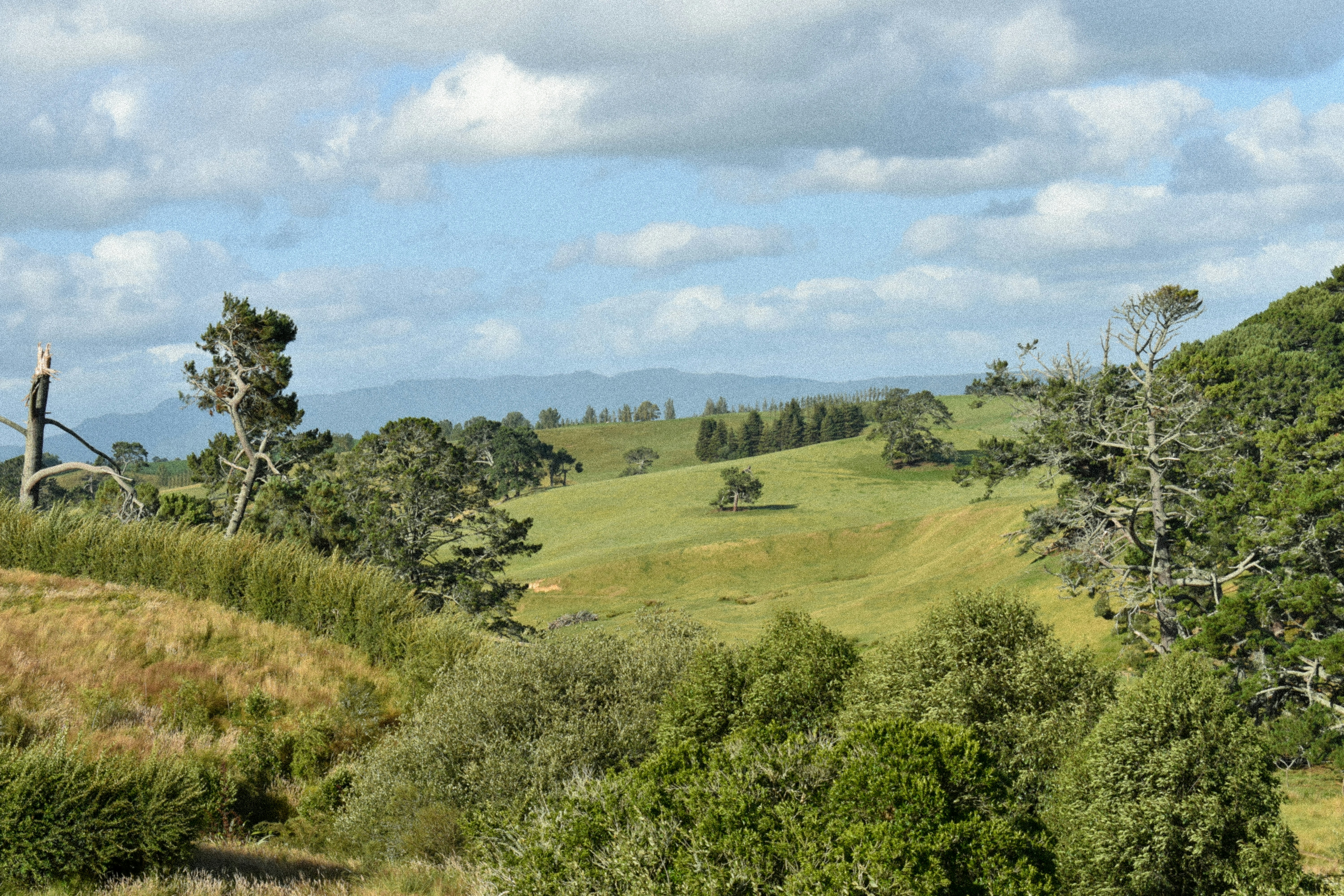 Photo by cyranomusic