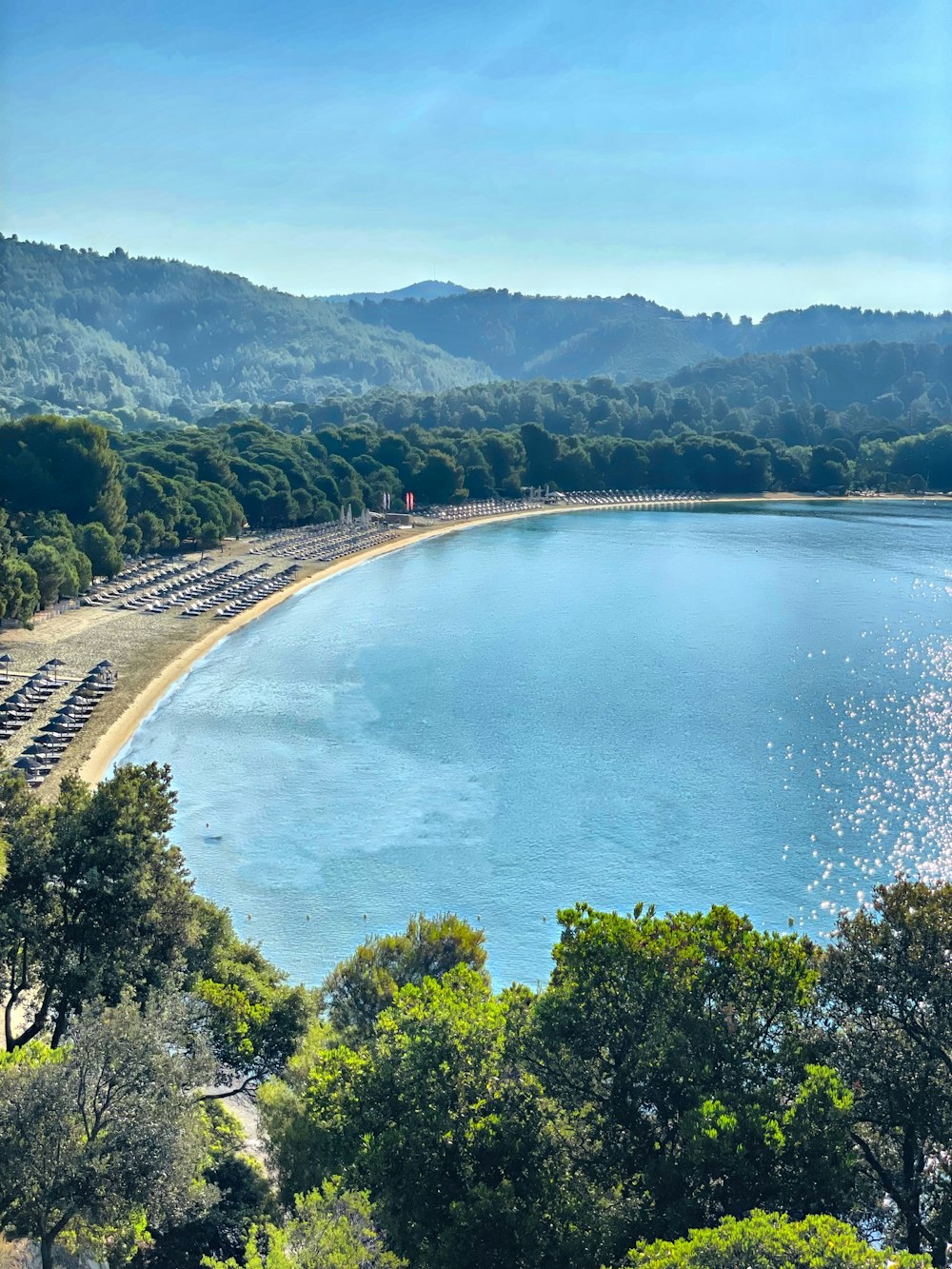 Vue aérienne des arbres verts et de la mer bleue pendant la journée