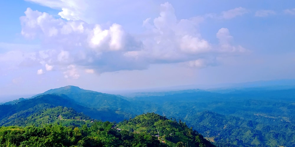 green trees on mountain under white clouds during daytime