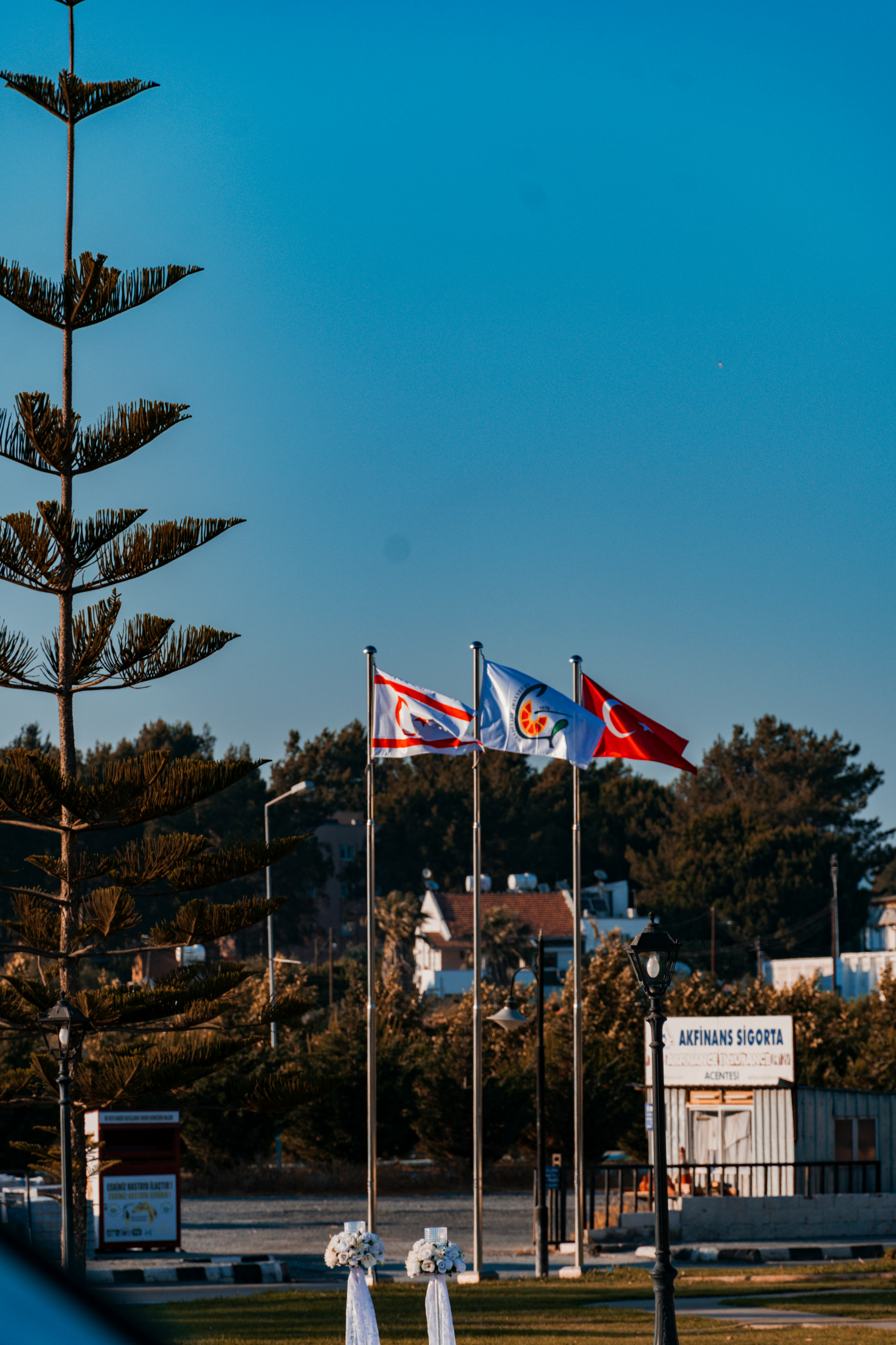 us a flag on flag pole