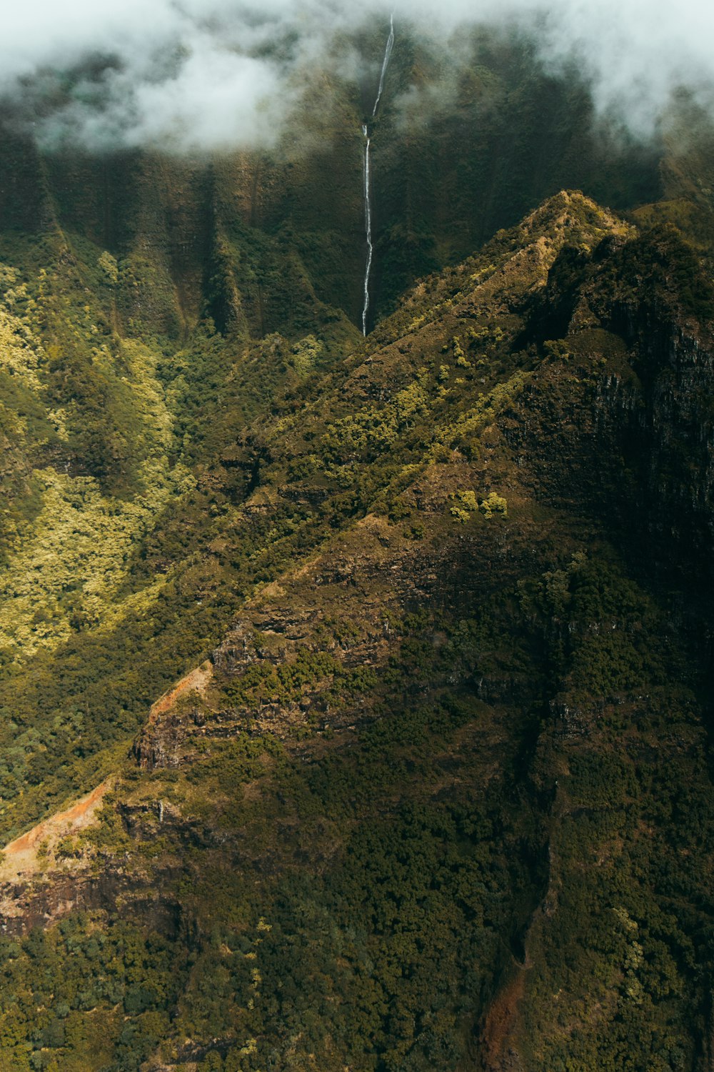 green grass and trees covered mountain