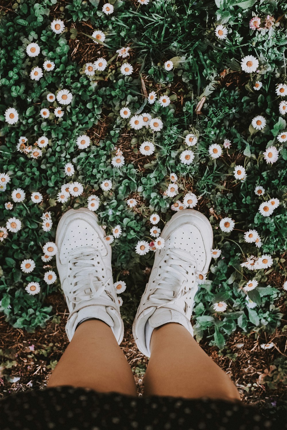 person in white sneakers standing on red and white flowers