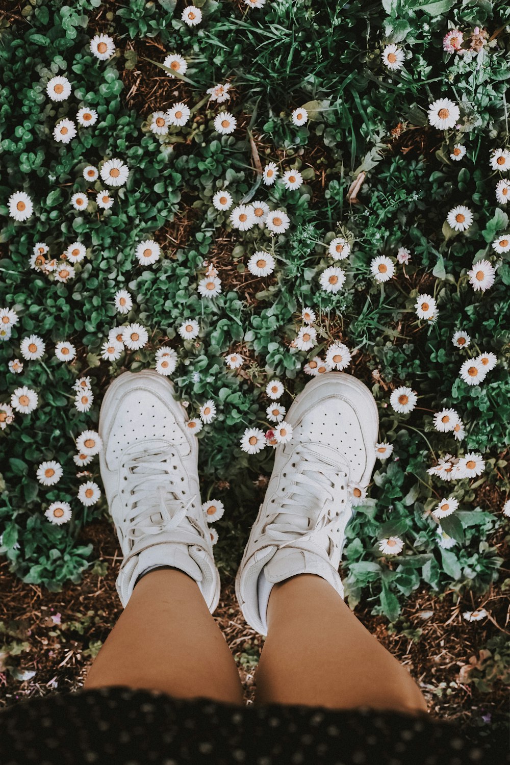 persona con zapatillas blancas de pie sobre flores rojas y blancas