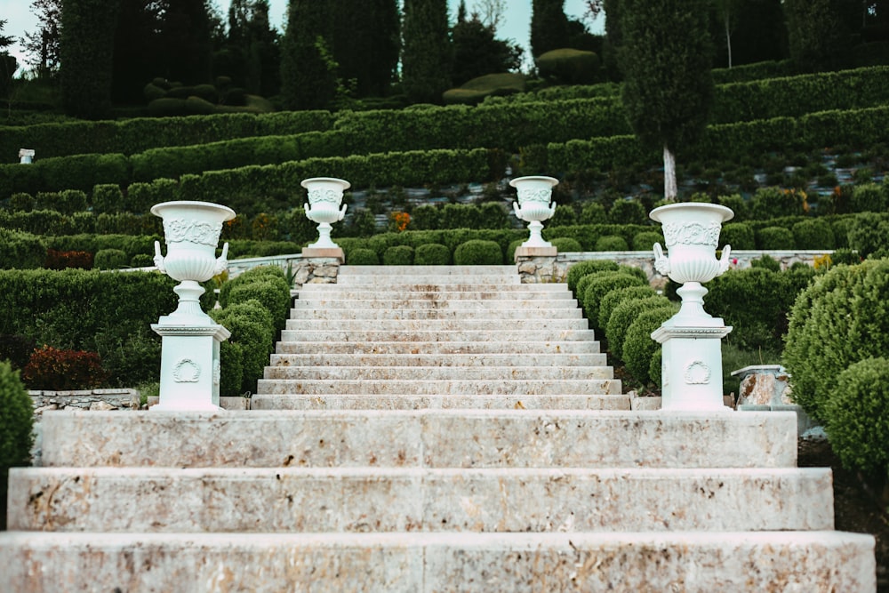 white concrete staircase with green grass and trees in the distance