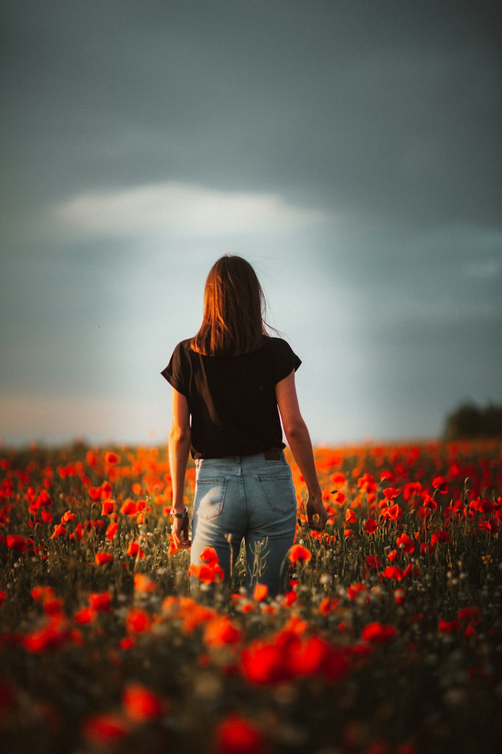 woman in black t-shirt and blue denim jeans standing on red flower field during daytime