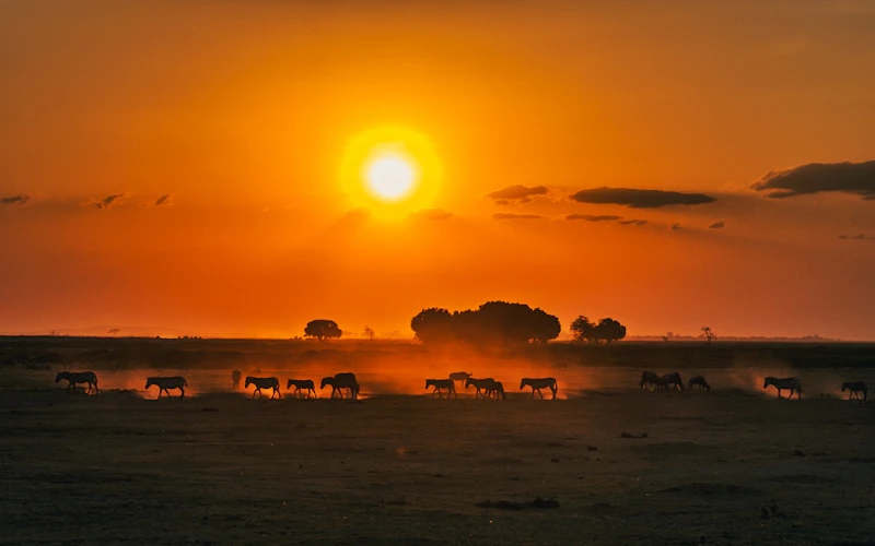 Kenya — relocation guide landscape