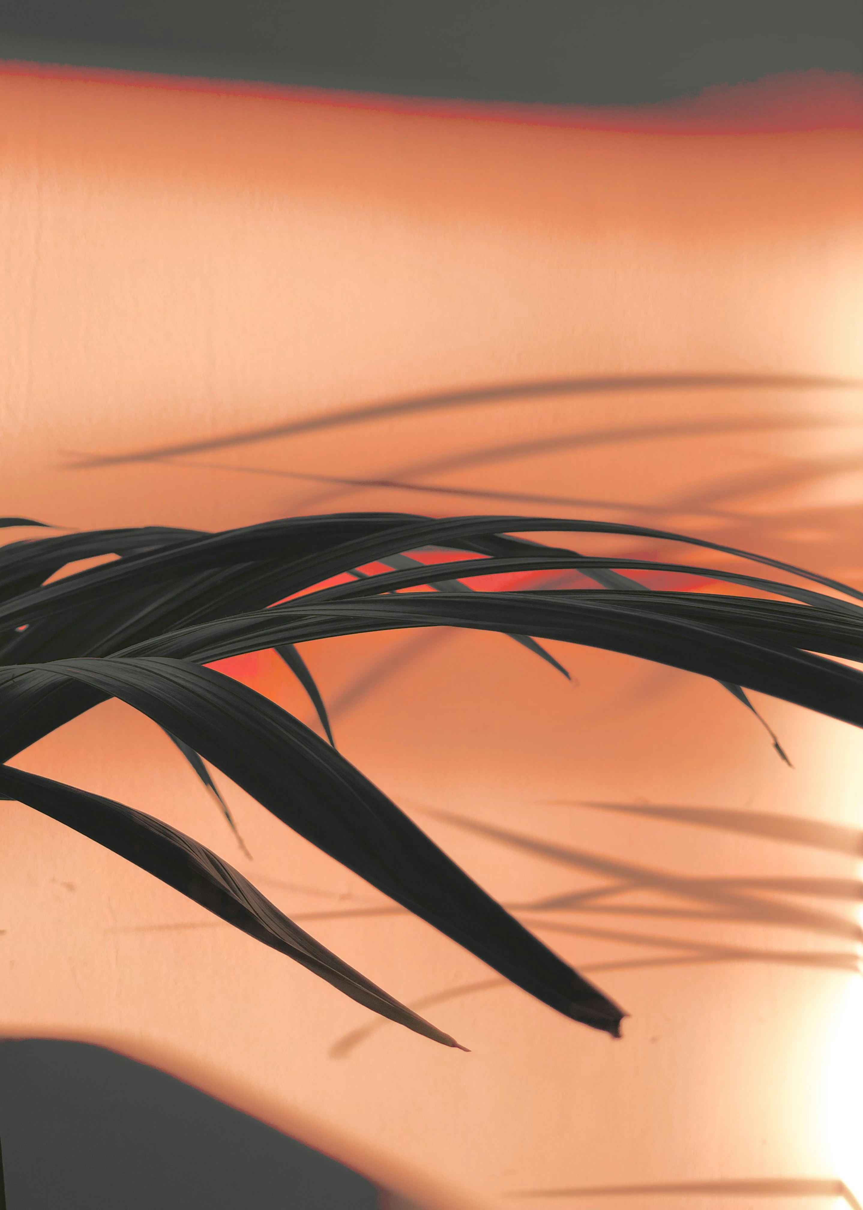 Pintura abstracta roja y negra