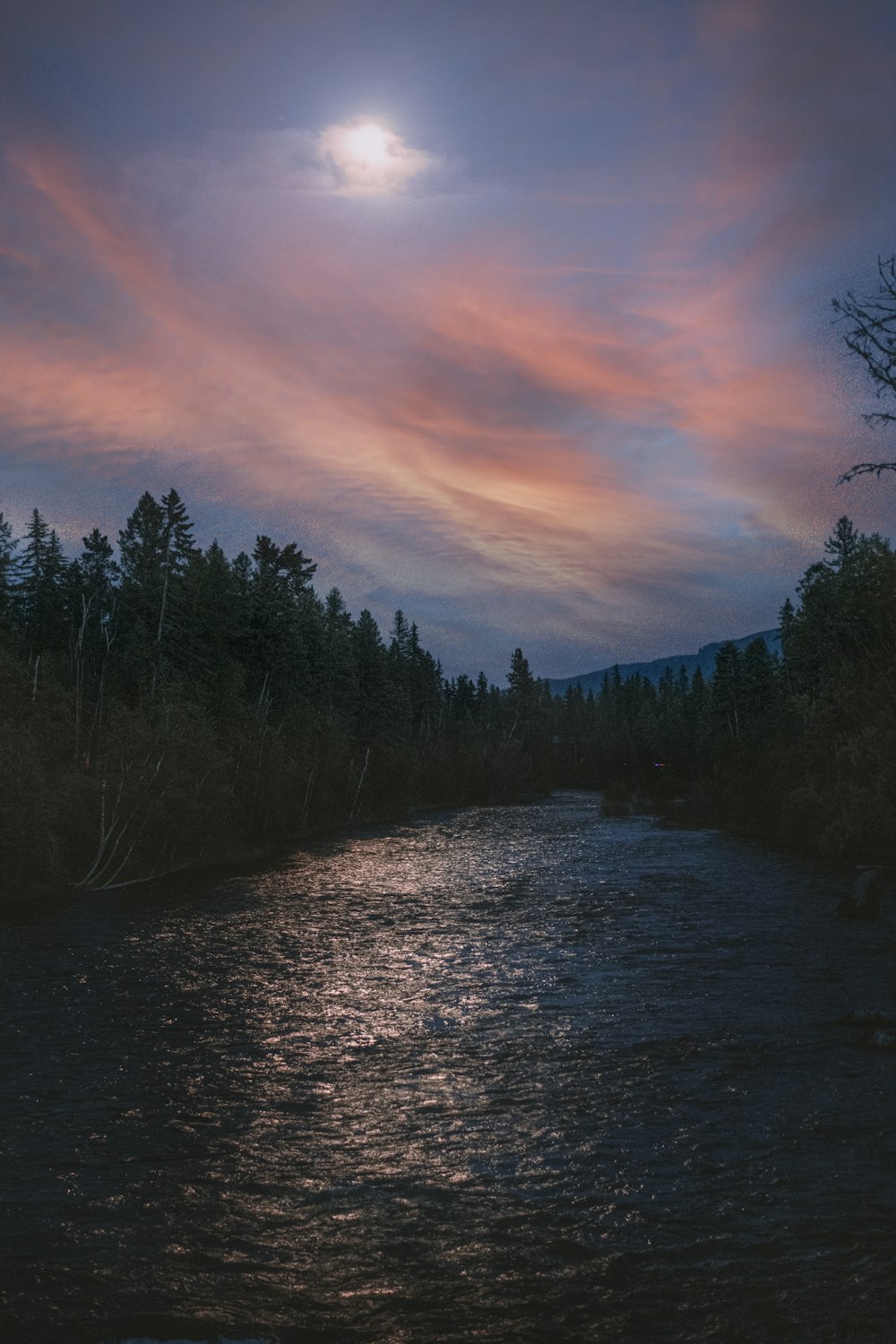 green trees beside river during sunset