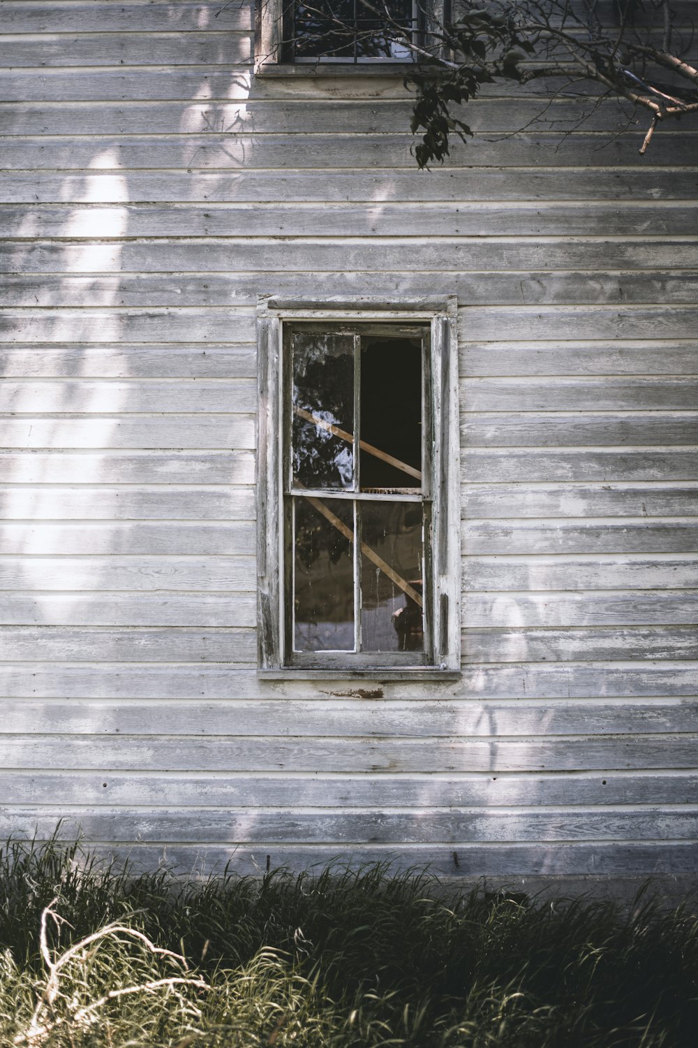 white wooden window with green plants