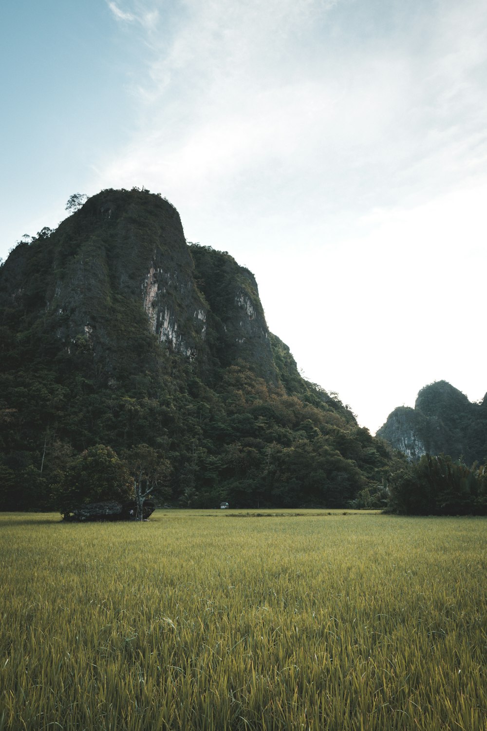 green grass field near gray rock formation during daytime