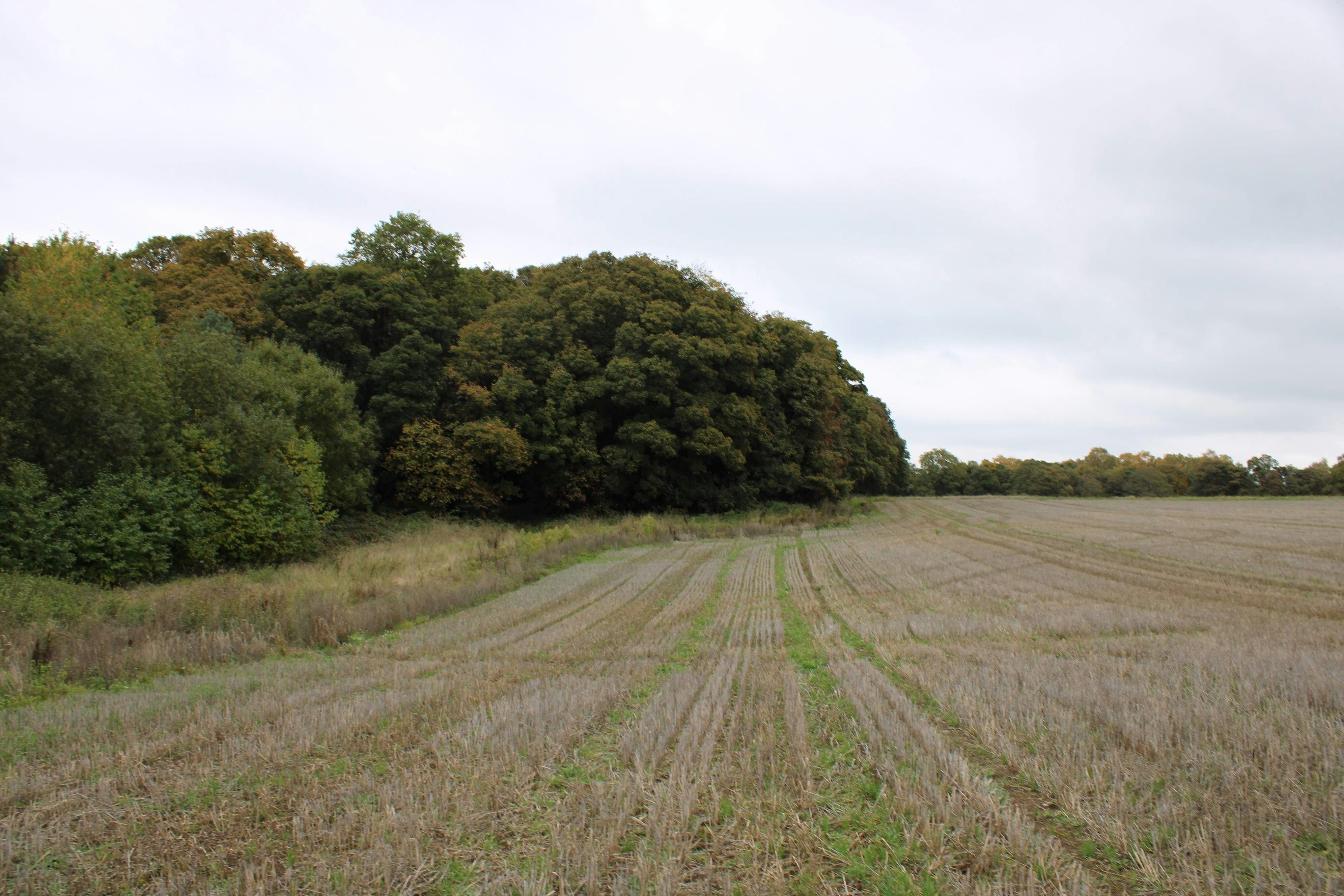 Photo by manbehindthecamera007