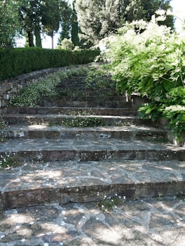 Elegant stone steps ascending through a landscaped hillside with vibrant plants.