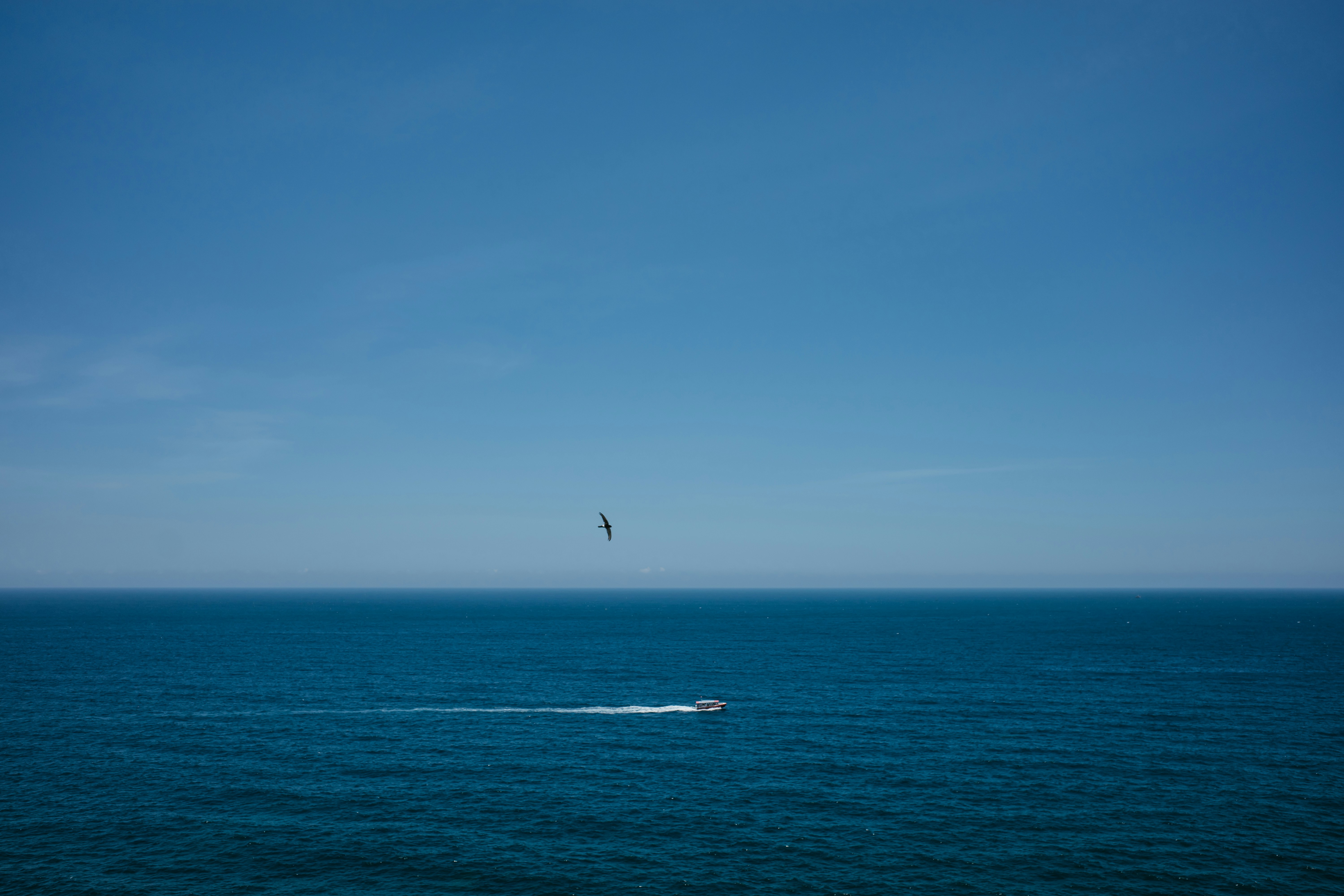 Photo by chriszhang0806