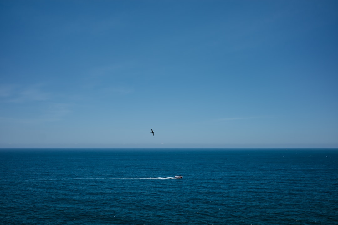 person surfing on blue sea under blue sky during daytime